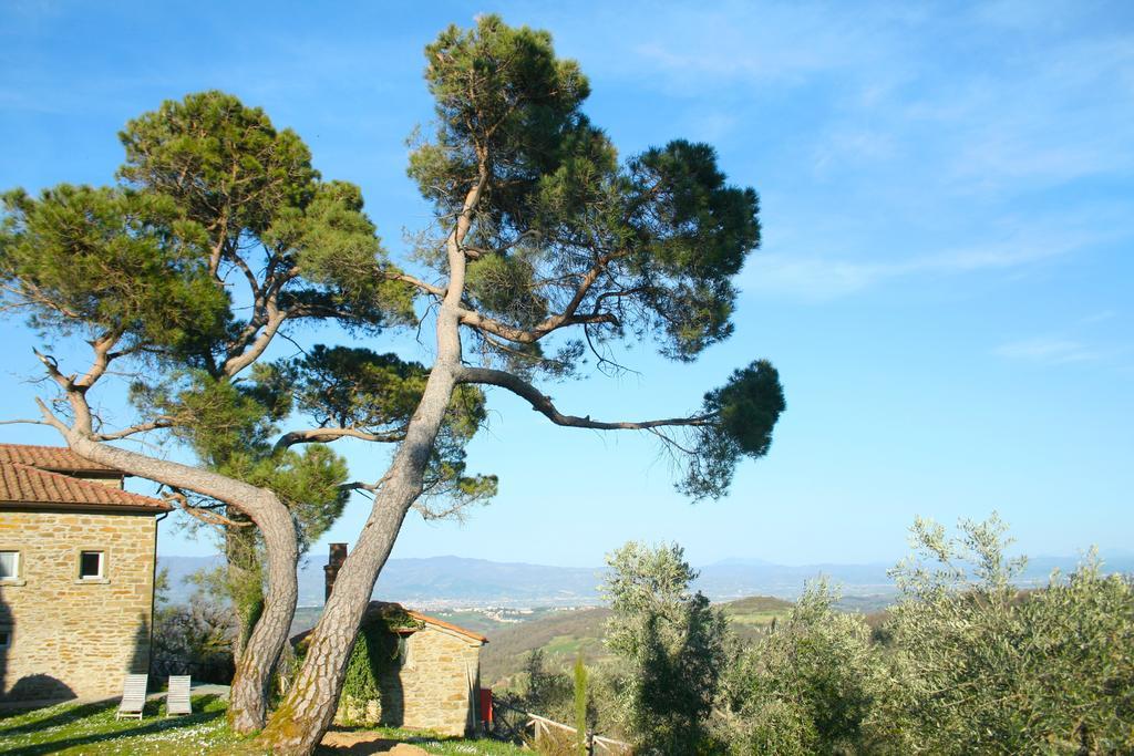 Relais Il Pozzeto Bed & Breakfast Anghiari Ngoại thất bức ảnh